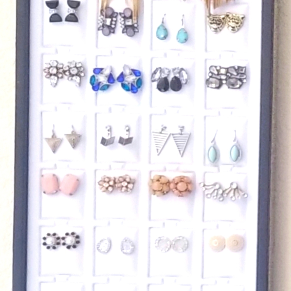 Earring Organizer